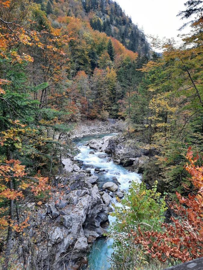 Steinerhaus Berggasthof غوربمينغ المظهر الخارجي الصورة