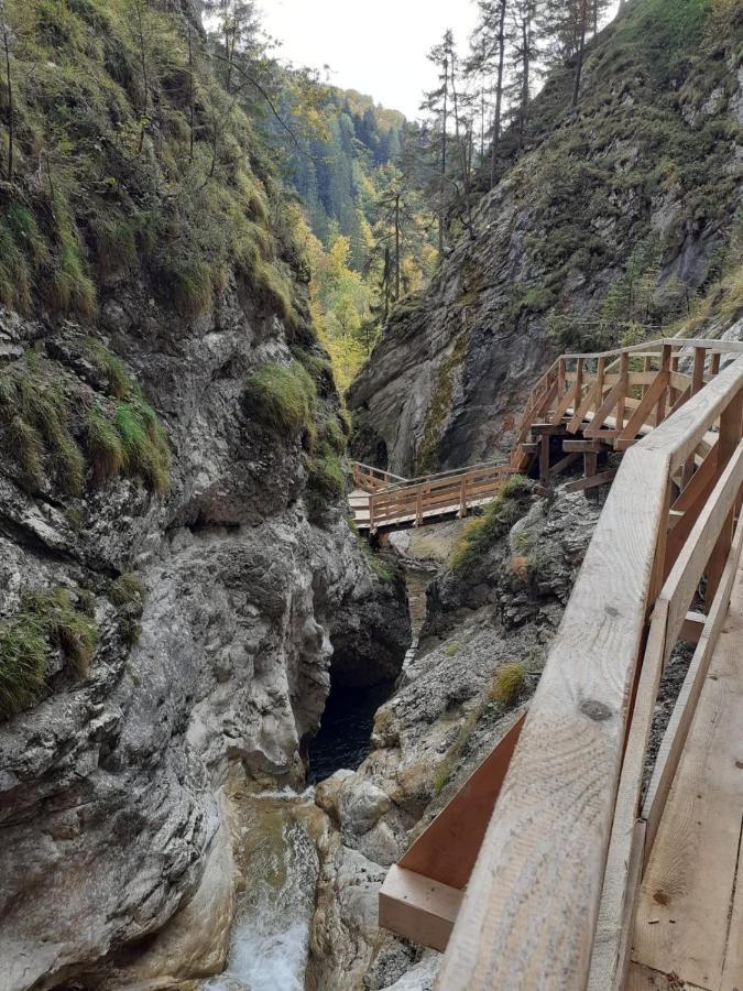 Steinerhaus Berggasthof غوربمينغ المظهر الخارجي الصورة